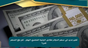 تغير جديد في سعر الدولار مقابل الجنيه المصري اليوم.. كم بلغ السعر الآن؟
